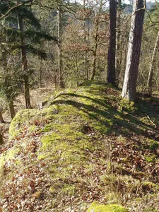 Burg Neuaist