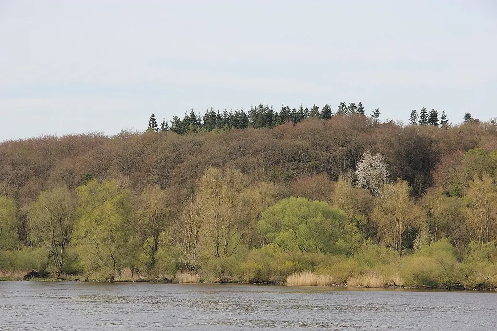 Naturschutzgebiet Hohes Elbufer zwischen Tesperhude und Lauenburg von der gegenüberliegenden Seite der Elbe bei Artlenburg aufgenommen.