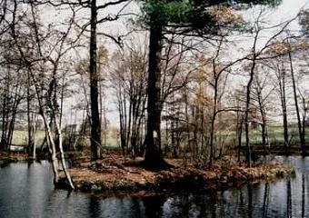 ehem. Wasserburg in der Thierfelder Abtei: die Ehrlerinsel