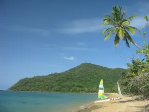 Dunk Island