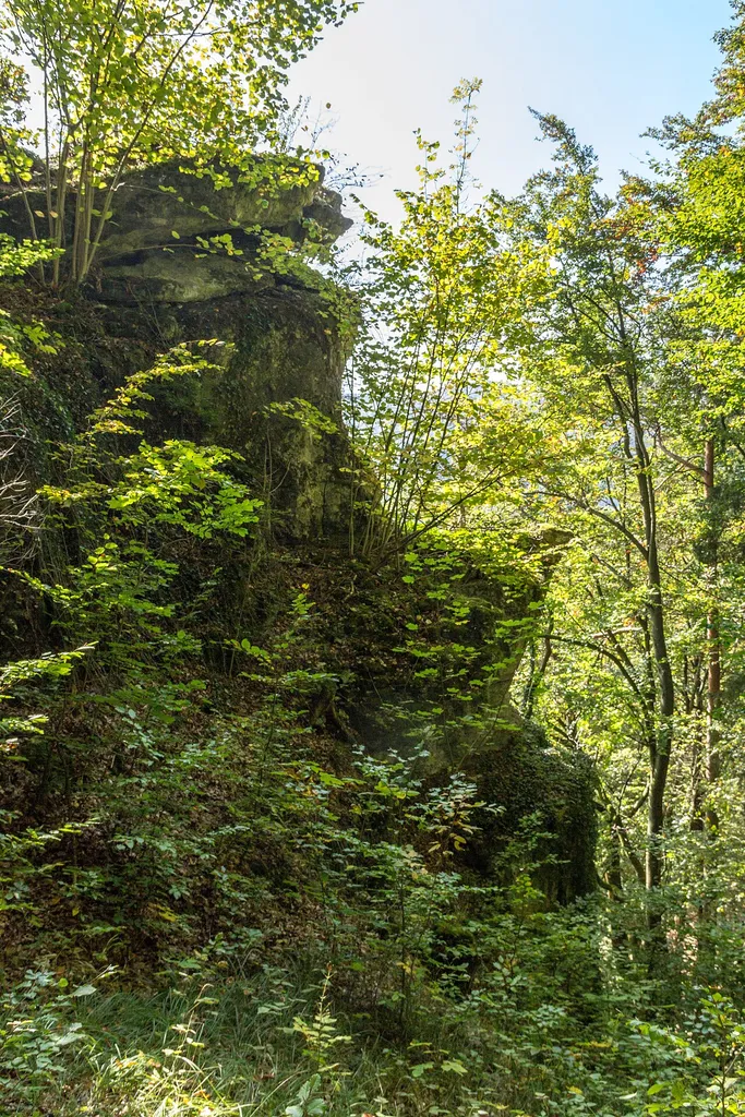 Teufelskanzel, Mittelburg, Happurg, Geotop, Felsburg