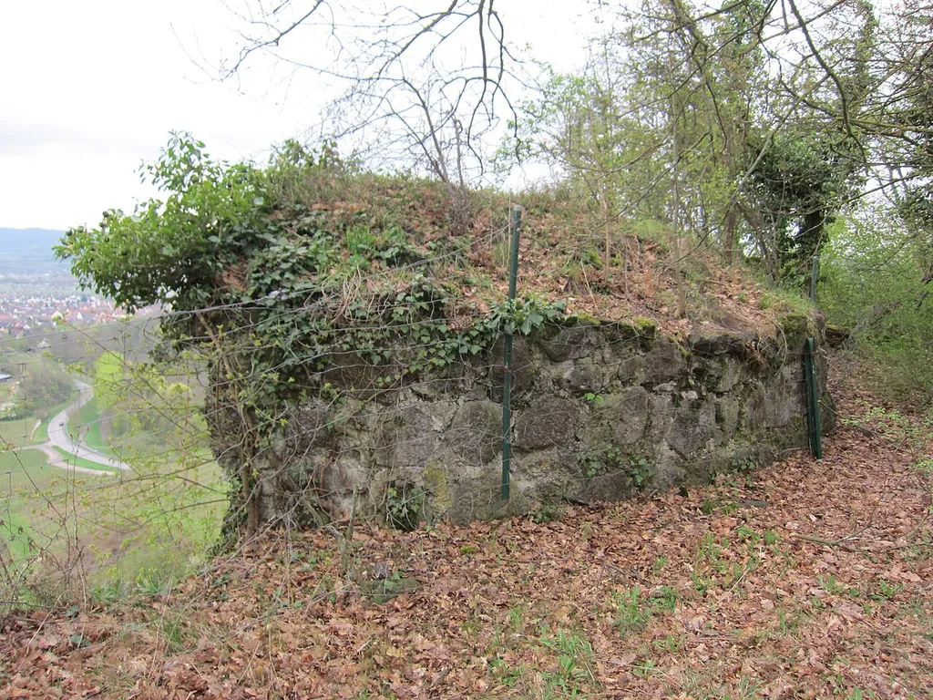 Alte Limburg, remains of the round tower, view from north (with the street Am Rhein in the background)