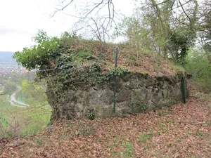 Alte Limburg