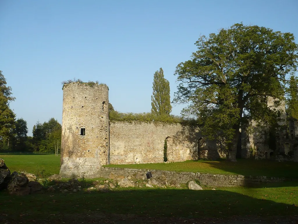 Ruins of Château royal du Vivier in Fontenay-Trésigny (Seine-et-Marne)