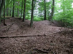 Burgwall Wittenborn