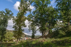 Drei Burgeichen in Burgthann