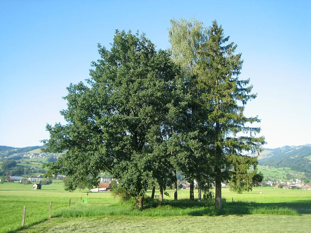 Lage Burg Bibiton