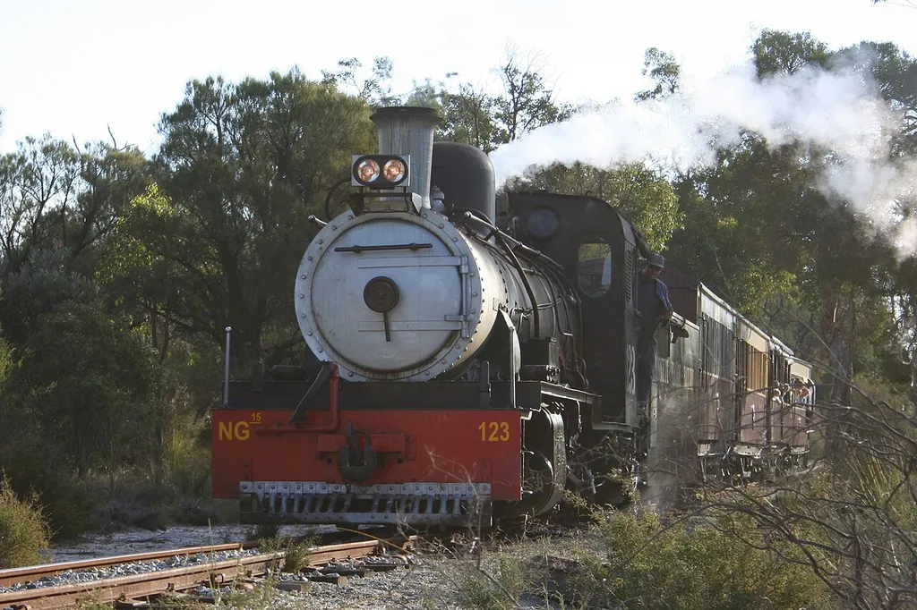 The Bennett Brook Railway's NG15 123 on the lop line