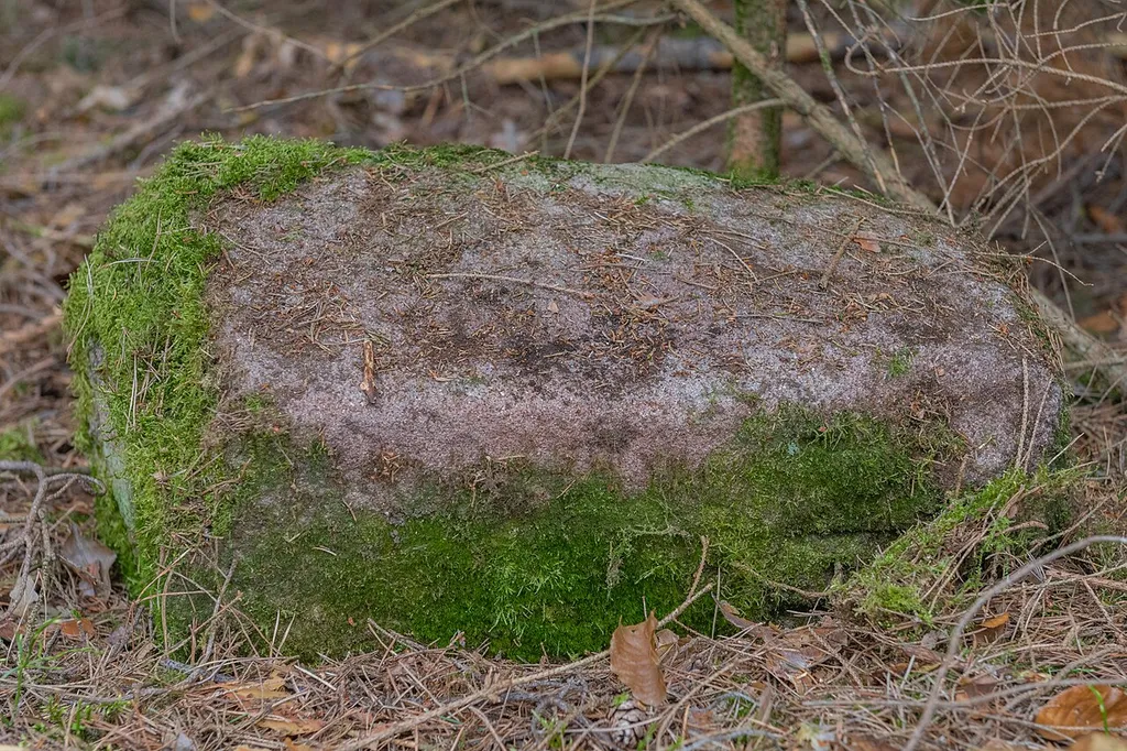 Grenzstein Fürther Stadtwald in Fürth
