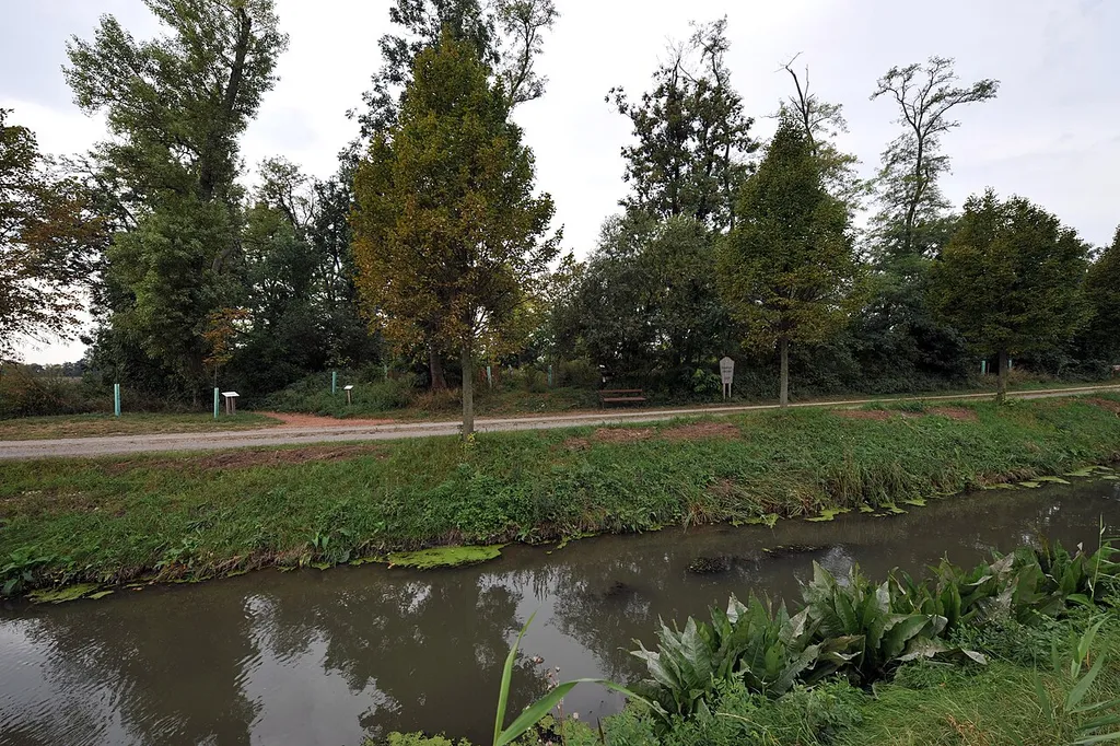 Hausberg Öder Burgstall