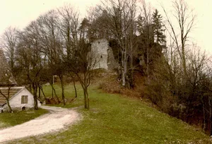 Wildenfels Castle