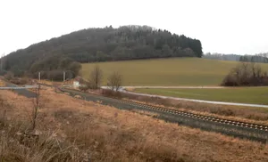 Heineburg