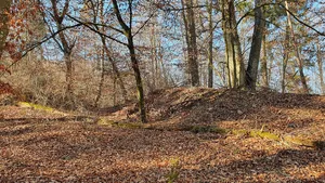 Burg Baach