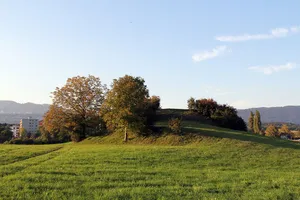 Goldhubel, medieval castle site (earthen castle)