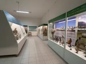 Museo Ornitologico di Varenna