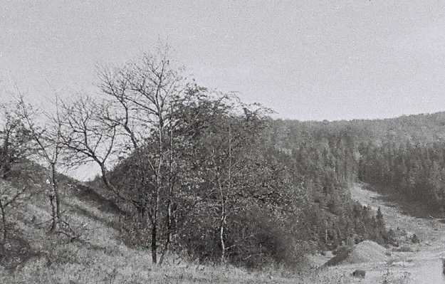 Alte Burg