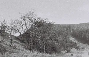 Alte Burg