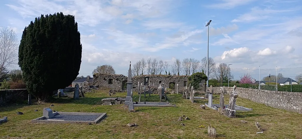 Dunnamaggin church ruin as seen from the cillín South of the Church. The inner wall is visible, because the Southern wall has mostly collapsed.