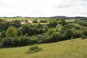 Burgstall Hofberg