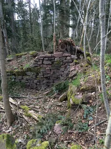 Burg Dicke