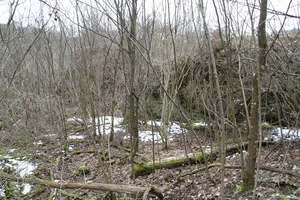 Burgstall Kleinziegenfeld