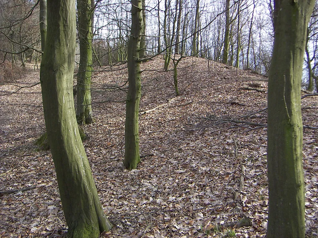 Wallburg auf dem Luftenberg