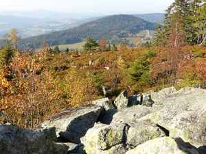 LSG Bayerischer Wald