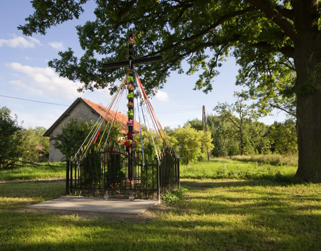 Plęsy, Warmian-Masurian Voivodeship