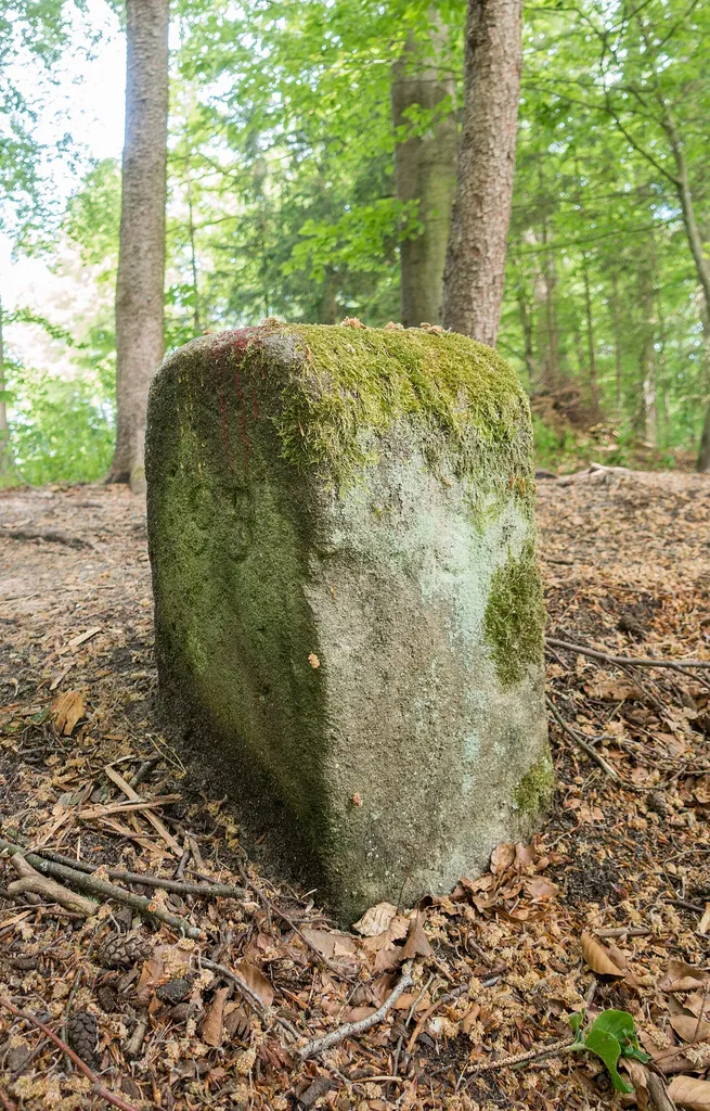 Grenzstein #1, Grünsberg, Altdorf bei Nürnberg