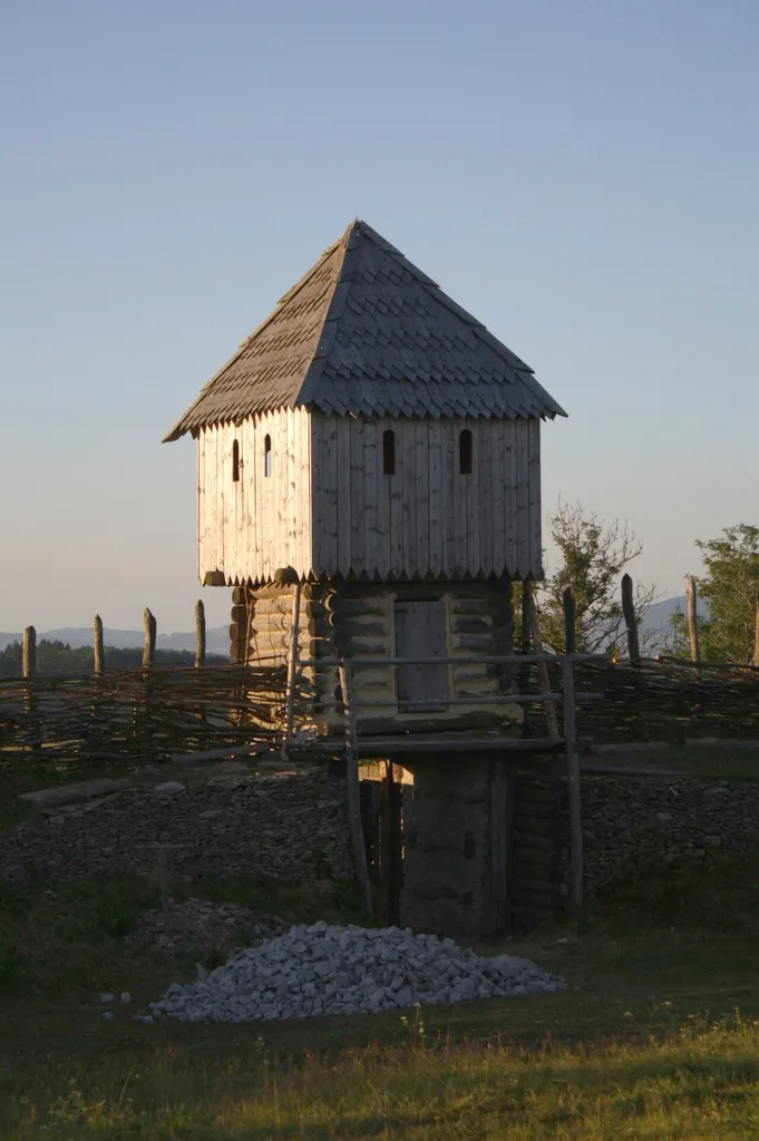 Curia Vítkov