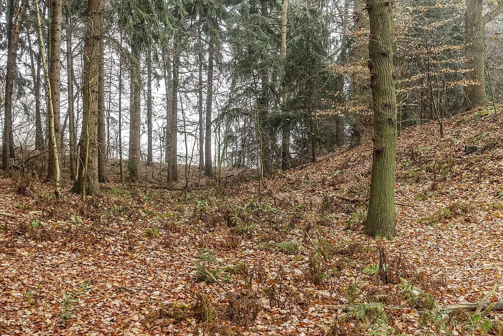 Der Vorburgbereich der Altenburg zwischen den Wällen