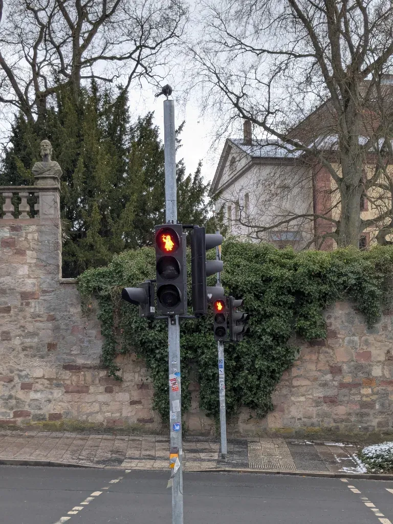 Rotes Ampelfrauchen am Dom von Fulda