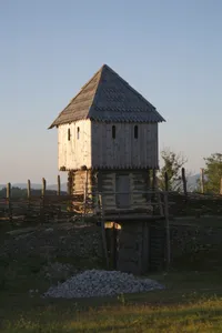 Curia Vítkov