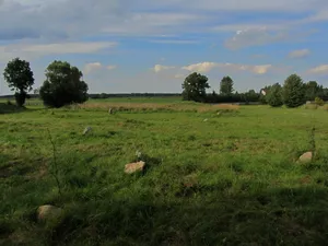 Jewish cemetery in Tykocin