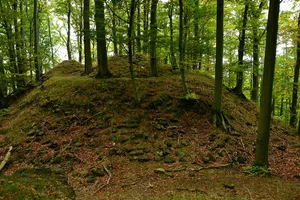 Hrad u Albrechtic