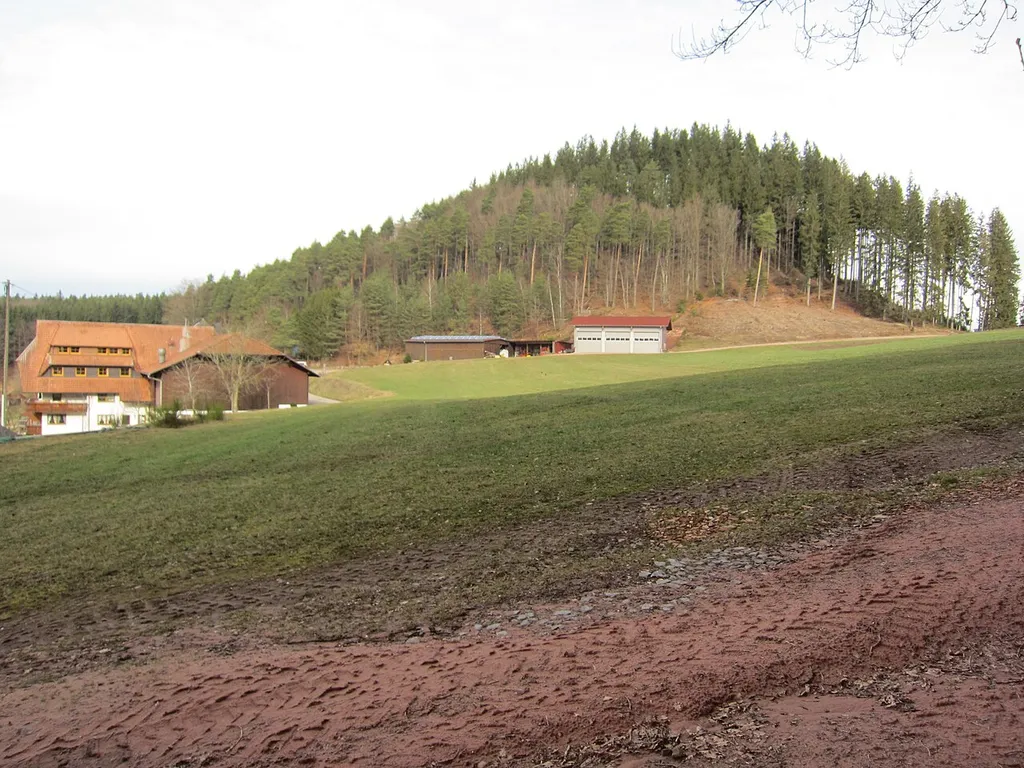 Heidburg, castle hill and farm Schlosshof, view from southeast
