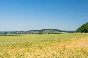 Heroldinger Burgberg