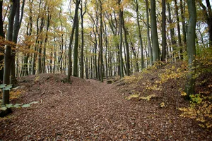 Uffoburg