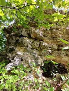 Burgruine Bloßenstaufen