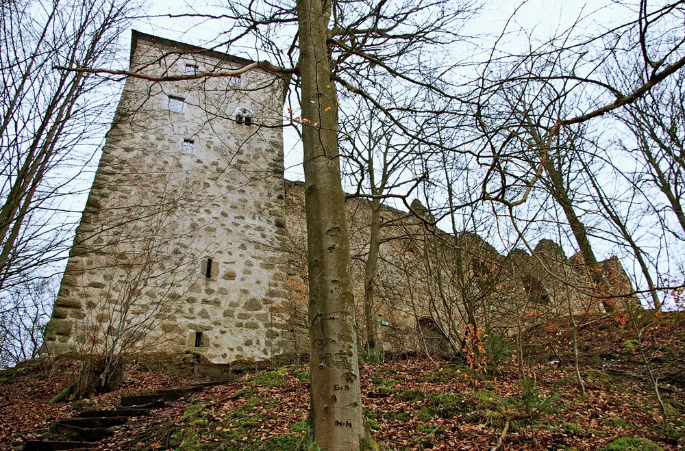 Westseite der Burgruine Stockenfels. Links der um 1515 aufgestockte Wohnturm, rechts daran anschließend die ruinöse Ringmauer mit den beiden Wohntrakten am Südende der Kernburg.