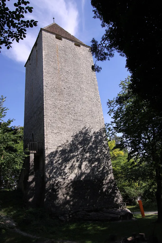 Tower of la Molière, Ruins of the Castle, Murist