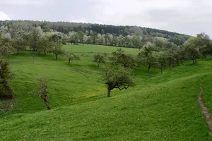 Spessart