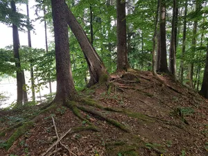 Alt-Meldegg, medieval castle site