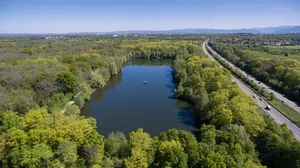 Mooswälder bei Freiburg