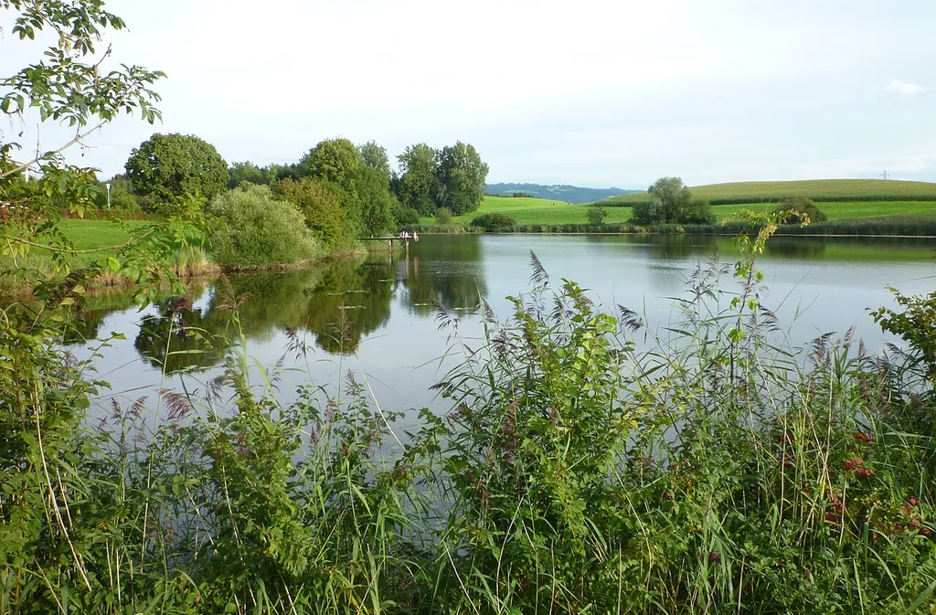 Wangen im Allgäu - Neuravensburg, Weiher02