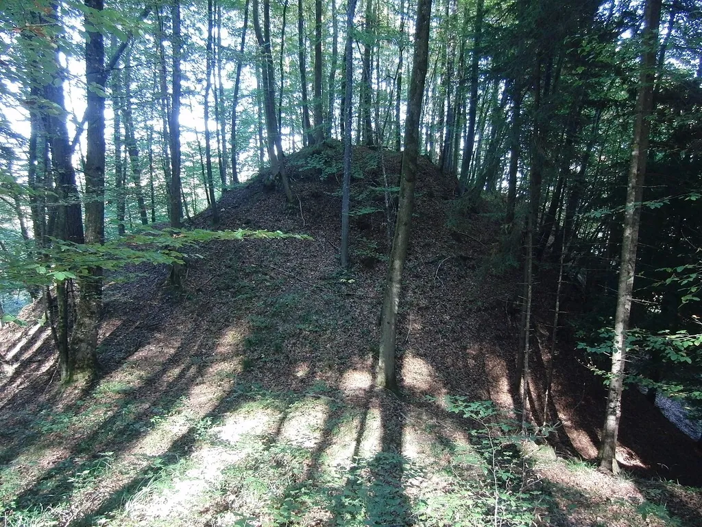 Burgstall der Burg Buch von Südwesten her fotografiert)
