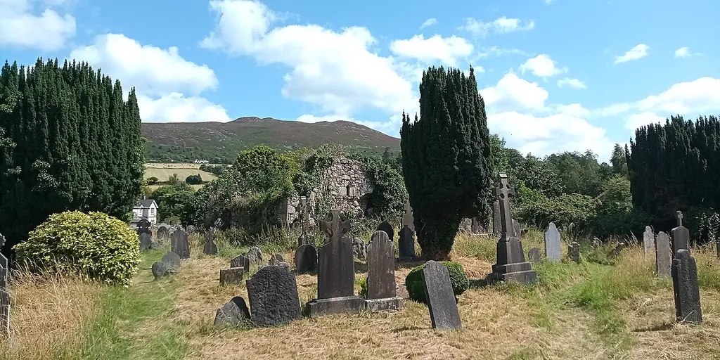 Kilmacanogue Old Graveyard and Church,West side