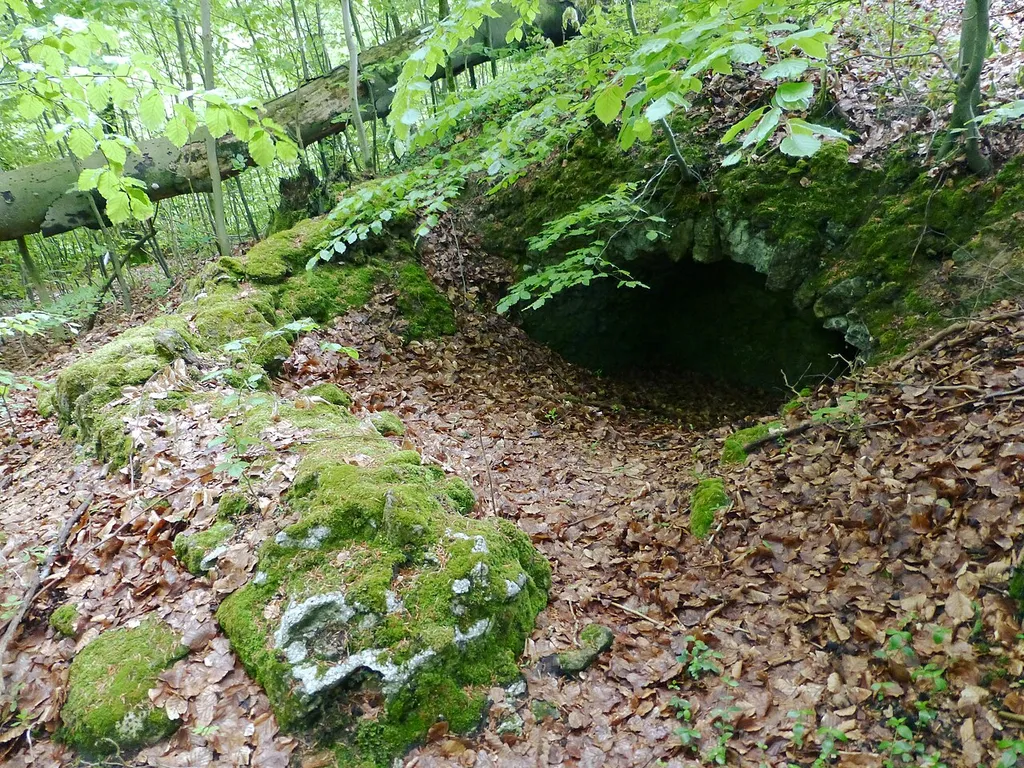 Reste des ehemaligen Burgkellers der Burg Frauenstein im Harz bei Scharzfeld, Landkreis Osterode, Niedersachsen. Die Burg wurde 1761 im siebenjährigen Krieg von französischen Truppen gesprengt