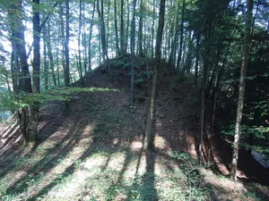 Burg Buch