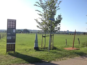 Belgium-Netherlands boundary stone no. 43